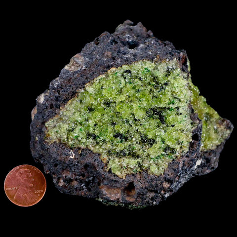 3.4" Emerald Peridot Crystals, Chrome Diopside And Spinel On Volcanic Rock Gila, AZ - Fossil Age Minerals