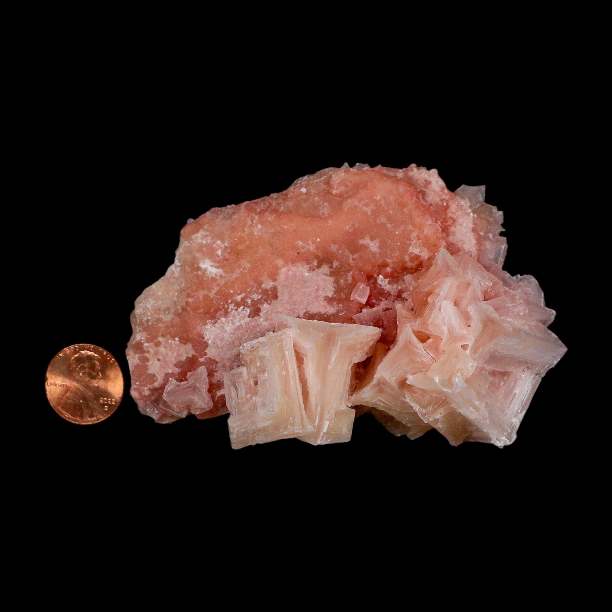 3.8" Quality Deep Pink Halite Salt Crystals Cluster Mineral Trona, CA Searles Lake