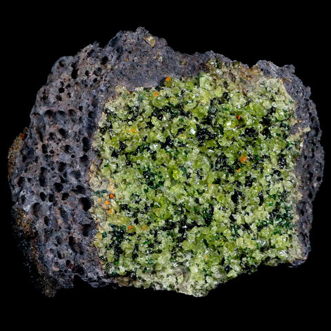 XL 4" Emerald Peridot Crystals, Chrome Diopside And Spinel On Volcanic Rock Gila, AZ - Fossil Age Minerals