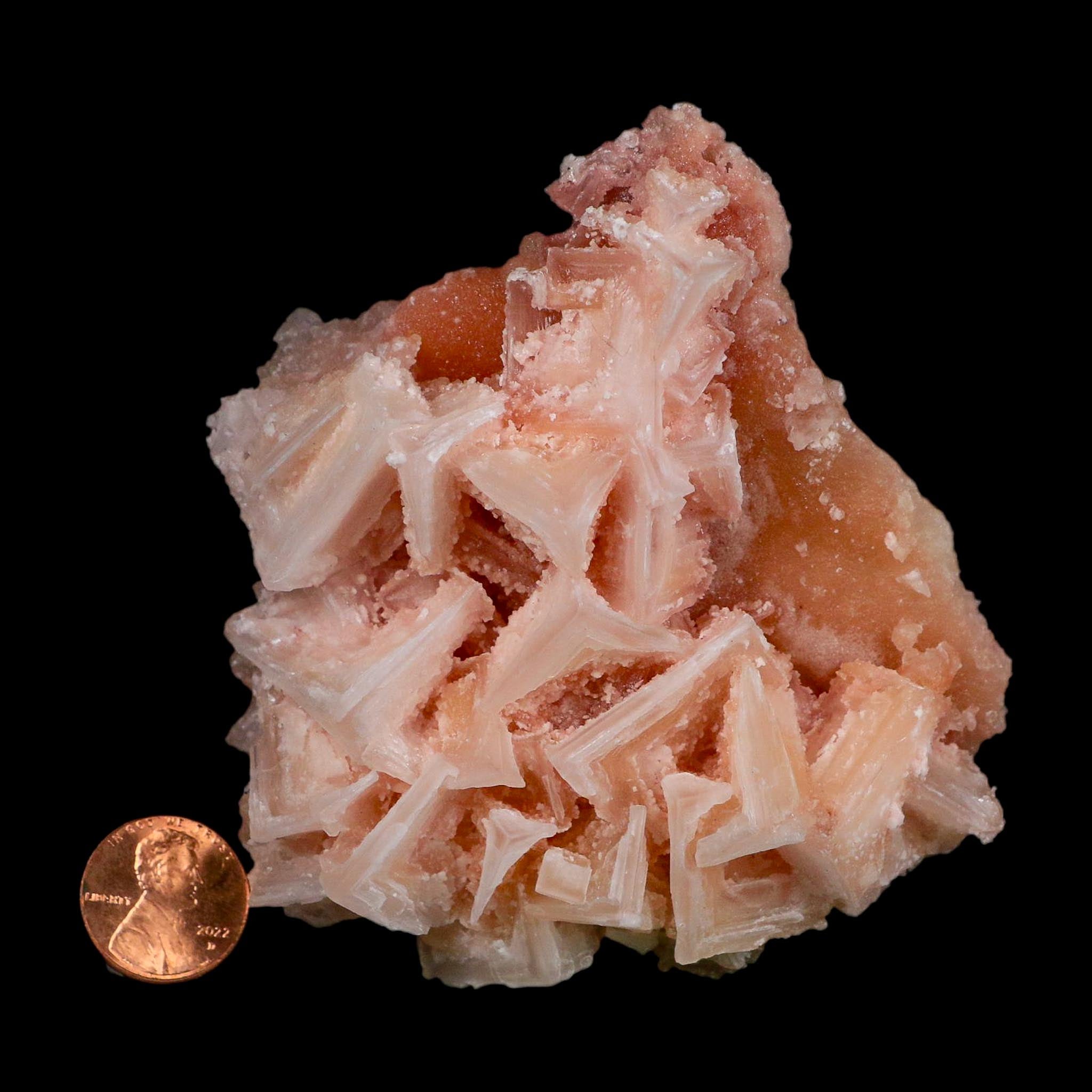 3.4" Quality Deep Pink Halite Salt Crystals Cluster Mineral Trona, CA Searles Lake