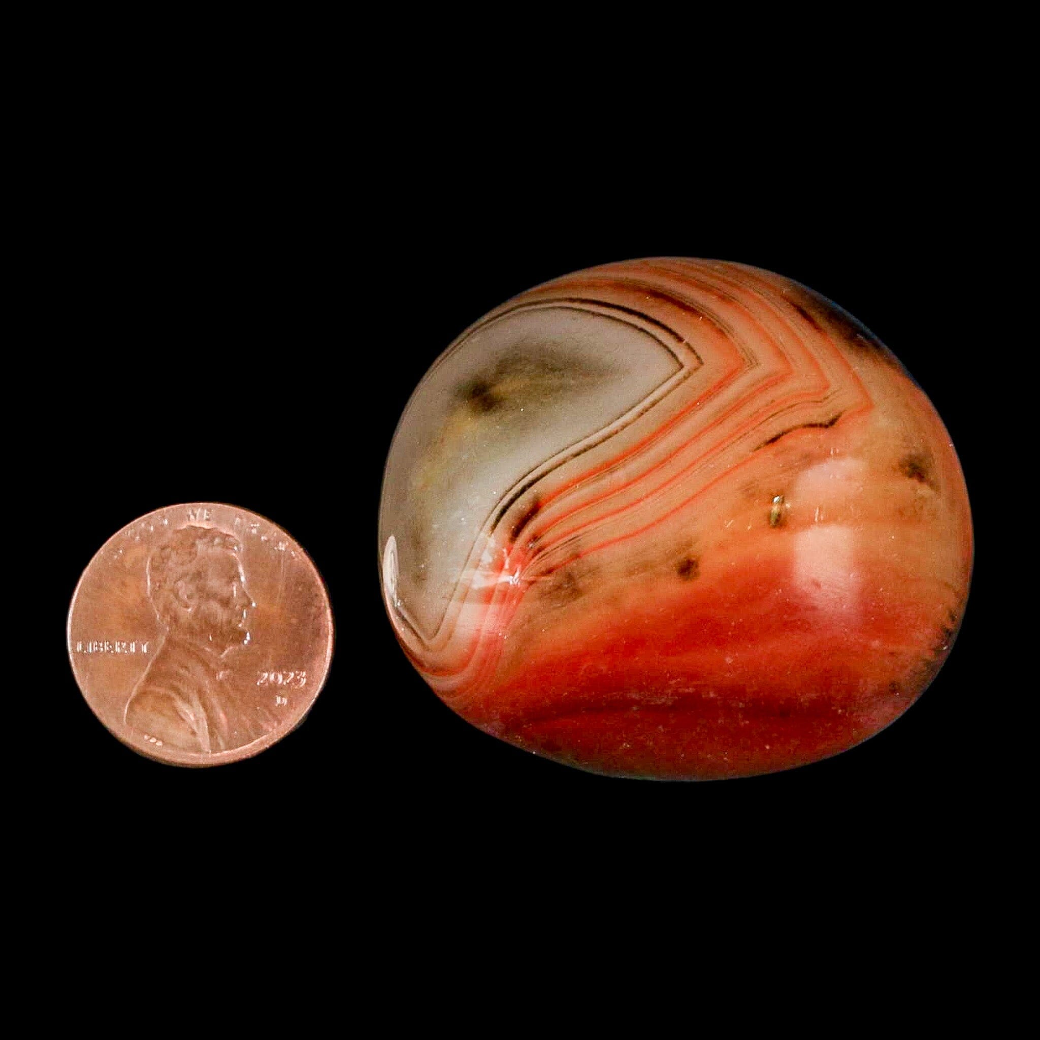 1.7" Natural Polished Red Silk Banded Agate Chalcedony Mineral Specimen - Fossil Age Minerals