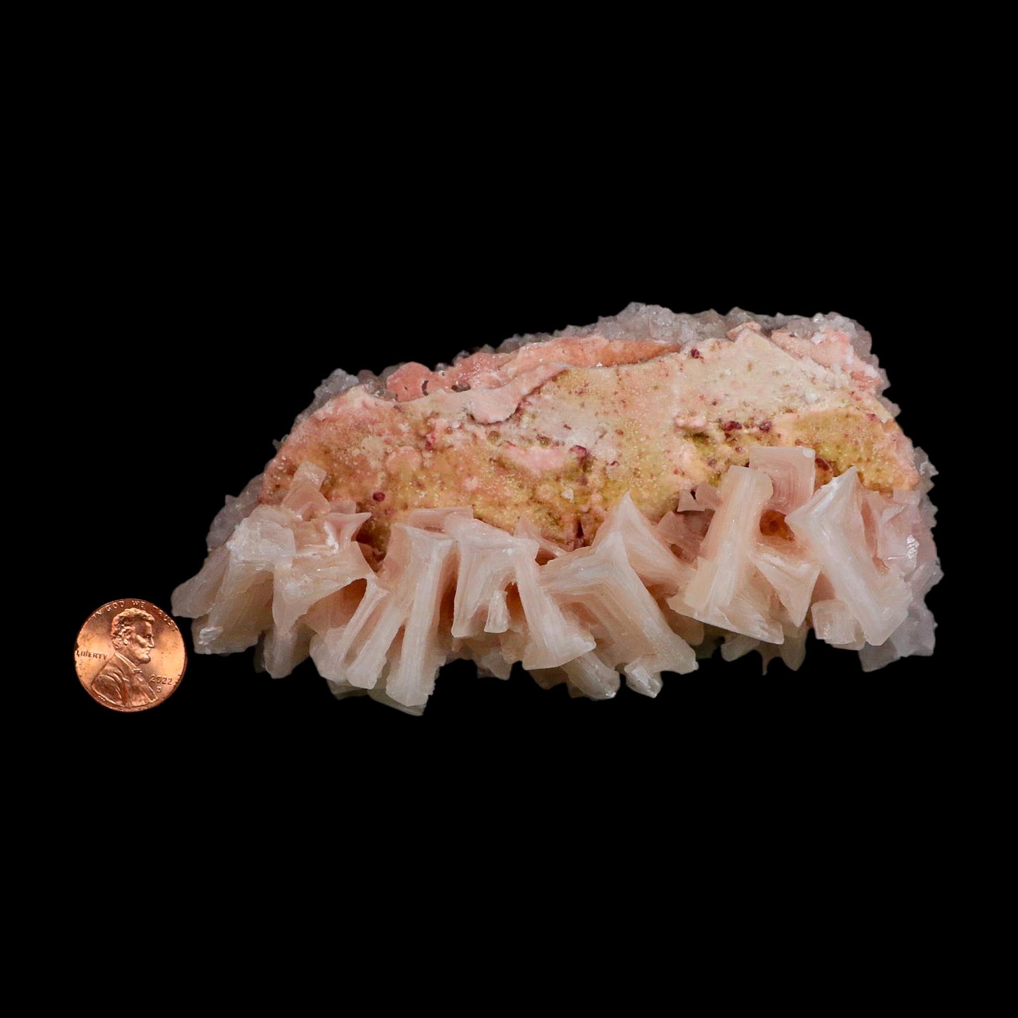 5" Quality Deep Pink Halite Salt Crystals Cluster Mineral Trona, CA Searles Lake