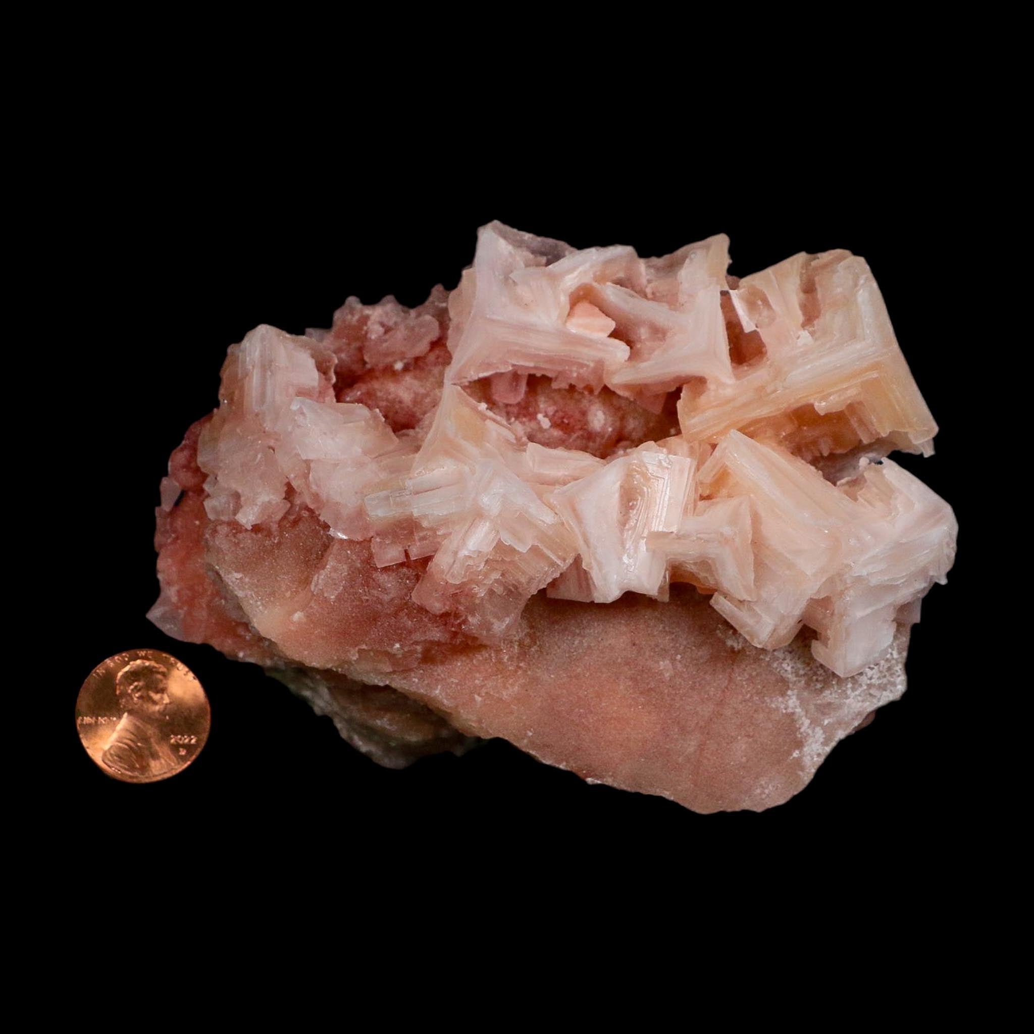 4.3" Quality Deep Pink Halite Salt Crystals Cluster Mineral Trona, CA Searles Lake