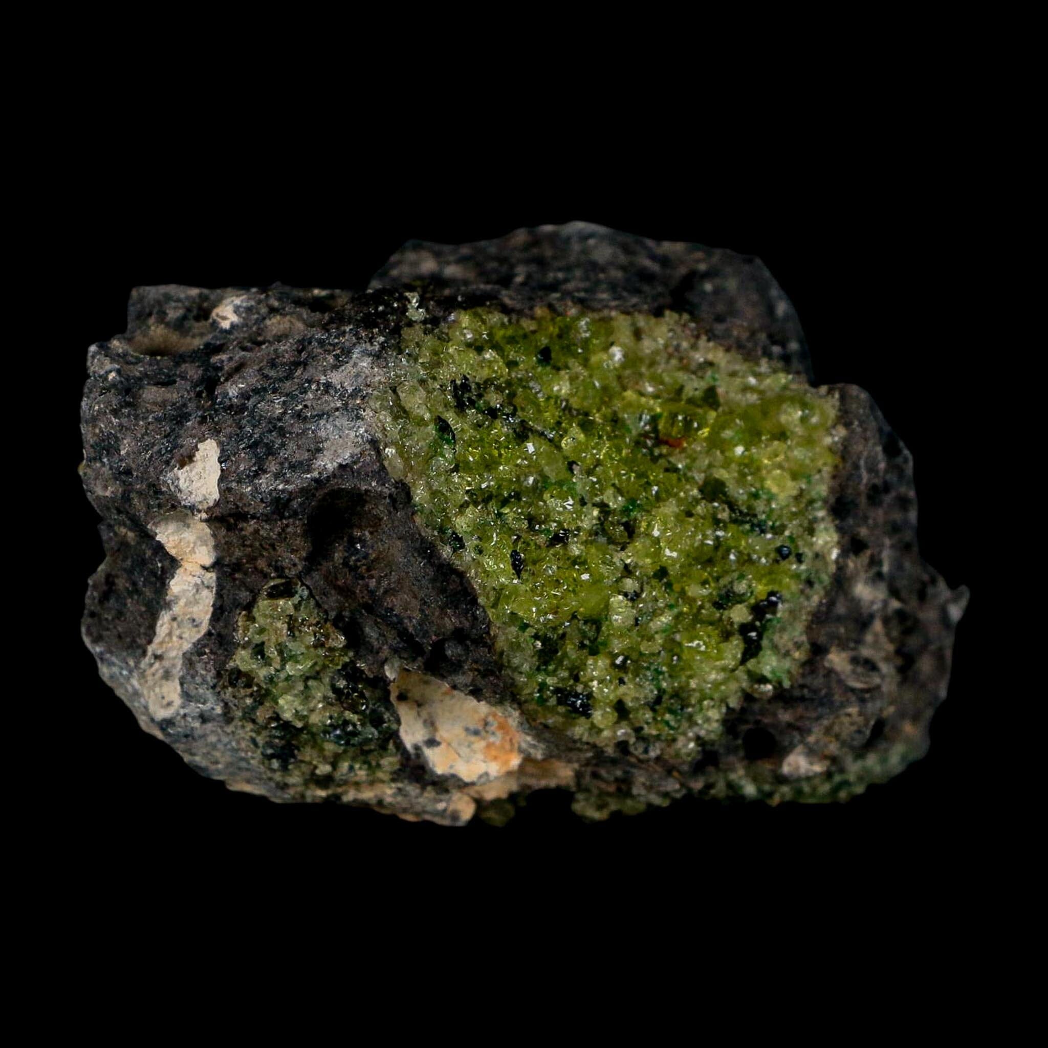 3.2" Emerald Peridot Crystals, Chrome Diopside And Spinel On Volcanic Rock Gila, AZ - Fossil Age Minerals
