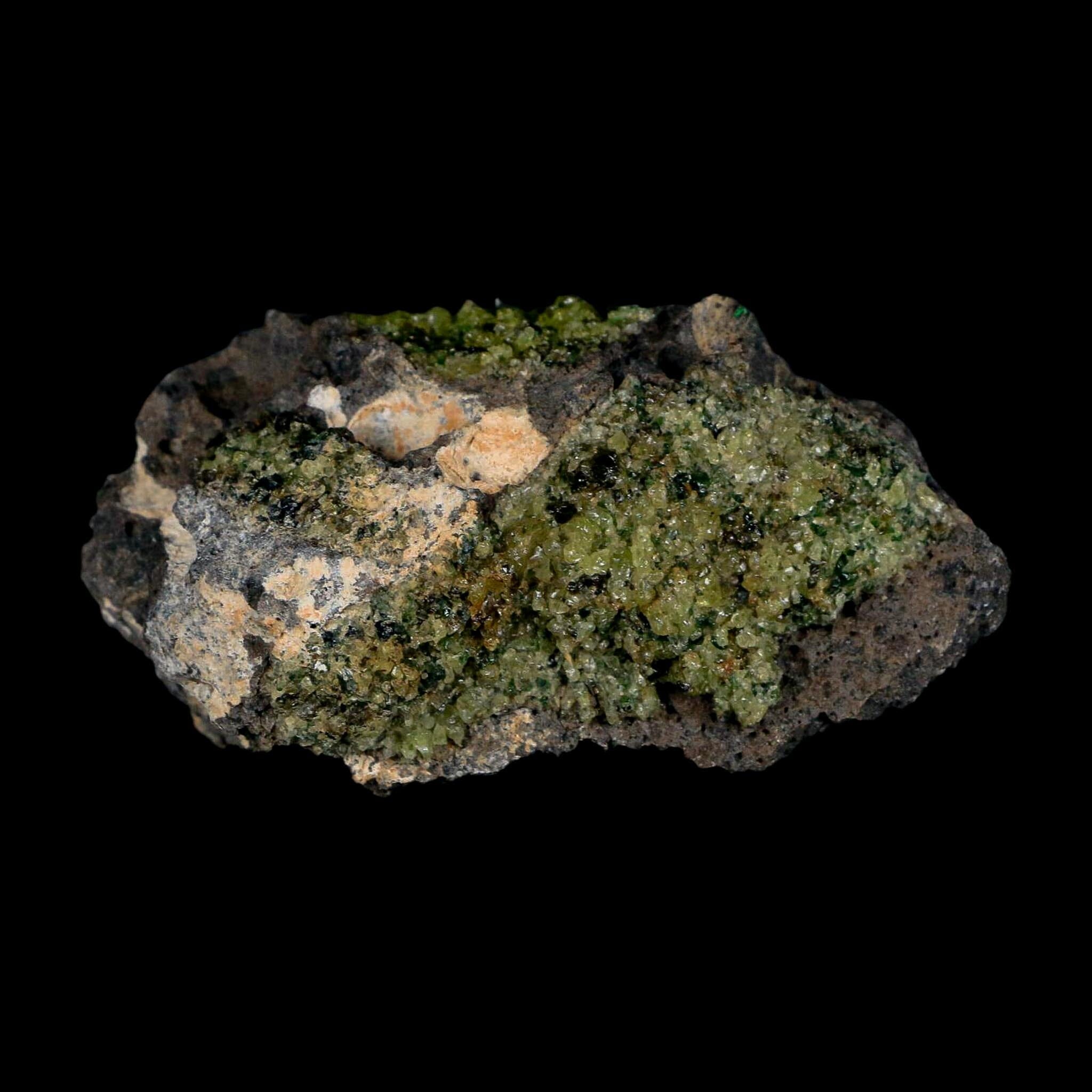 3.2" Emerald Peridot Crystals, Chrome Diopside And Spinel On Volcanic Rock Gila, AZ - Fossil Age Minerals