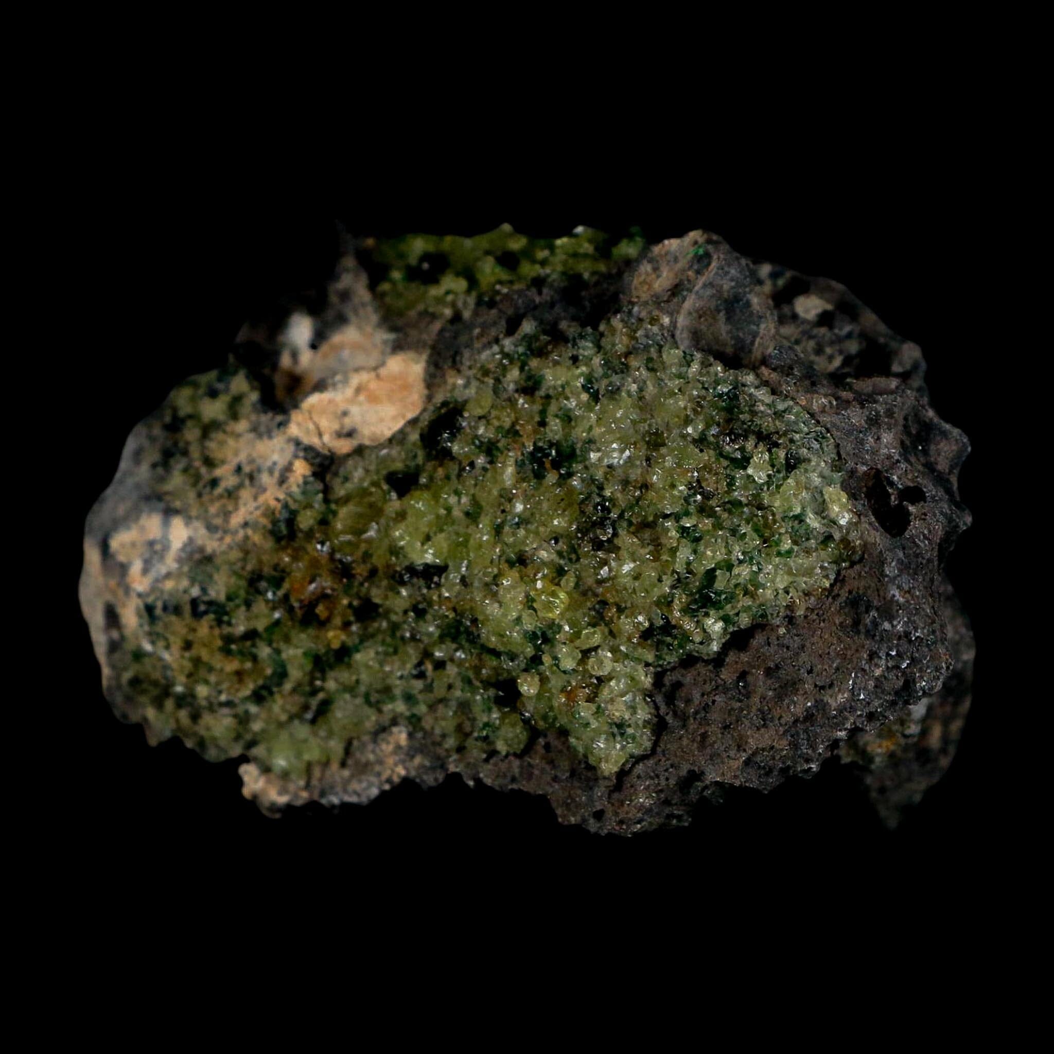 3.2" Emerald Peridot Crystals, Chrome Diopside And Spinel On Volcanic Rock Gila, AZ - Fossil Age Minerals