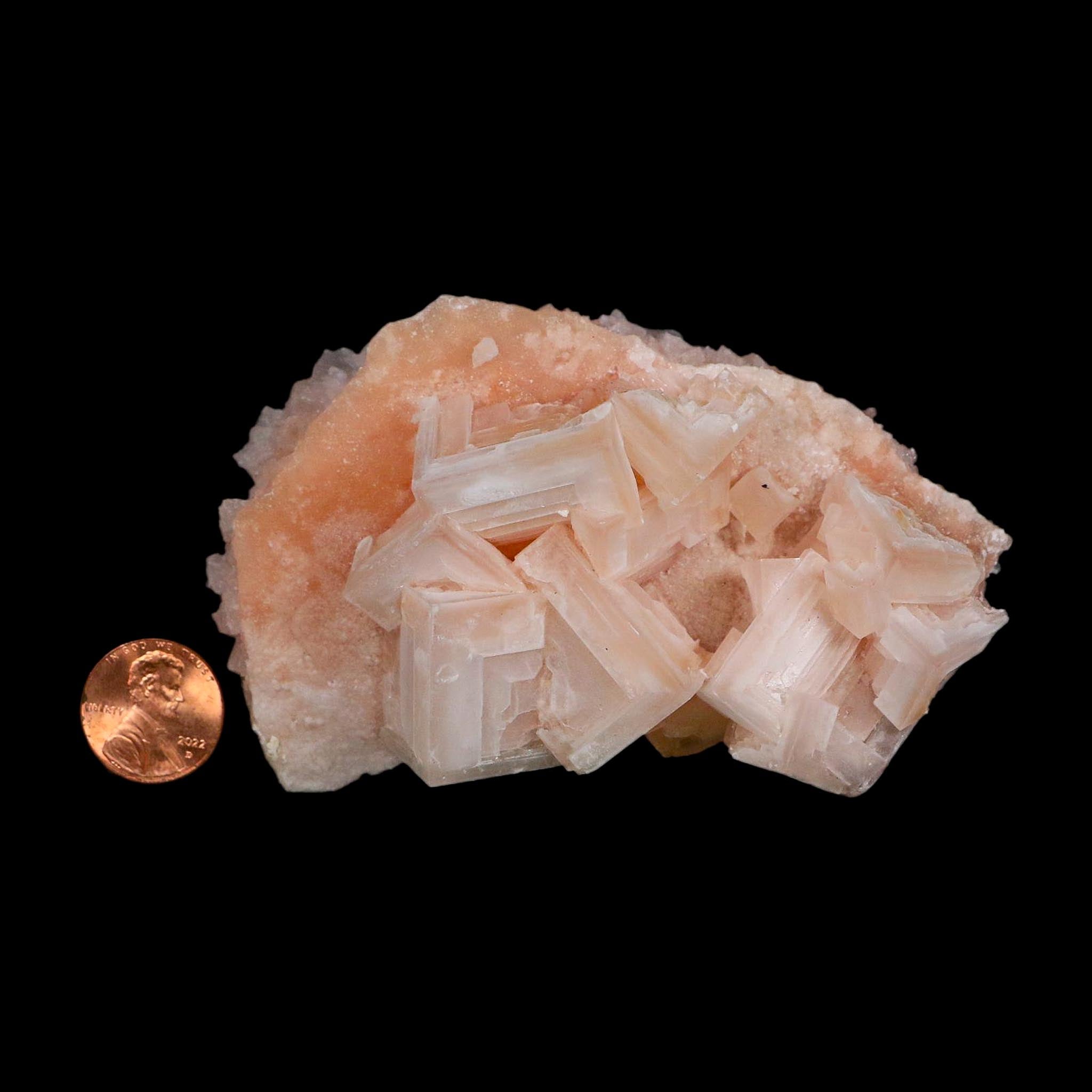 4" Quality Deep Pink Halite Salt Crystals Cluster Mineral Trona, CA Searles Lake