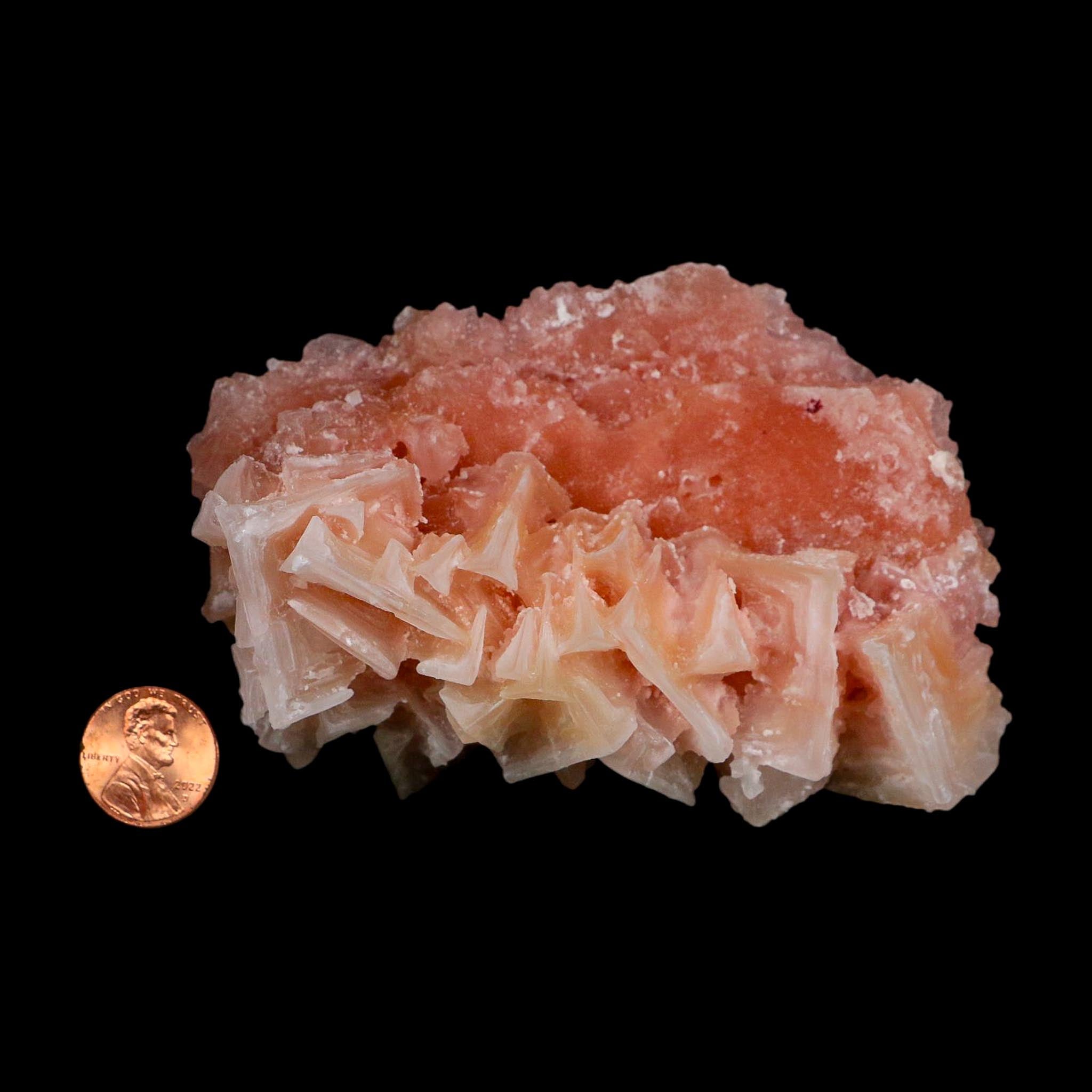 4.5" Quality Deep Pink Halite Salt Crystals Cluster Mineral Trona, CA Searles Lake