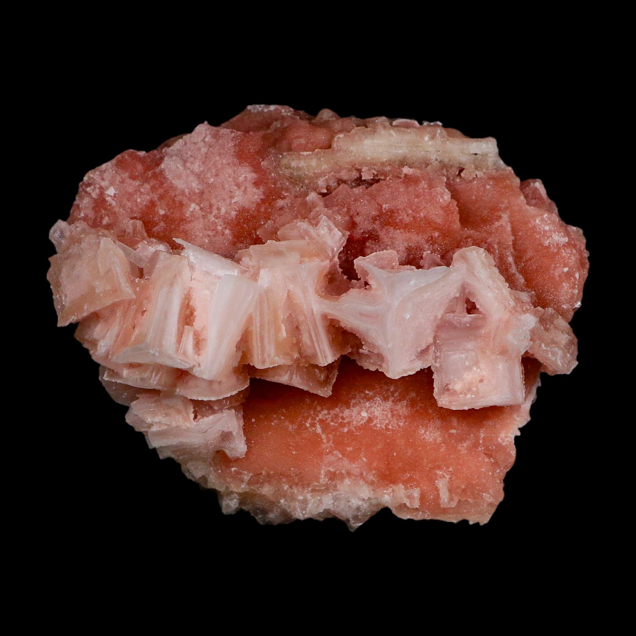 4" Quality Deep Pink Halite Salt Crystals Cluster Mineral Trona, CA Searles Lake