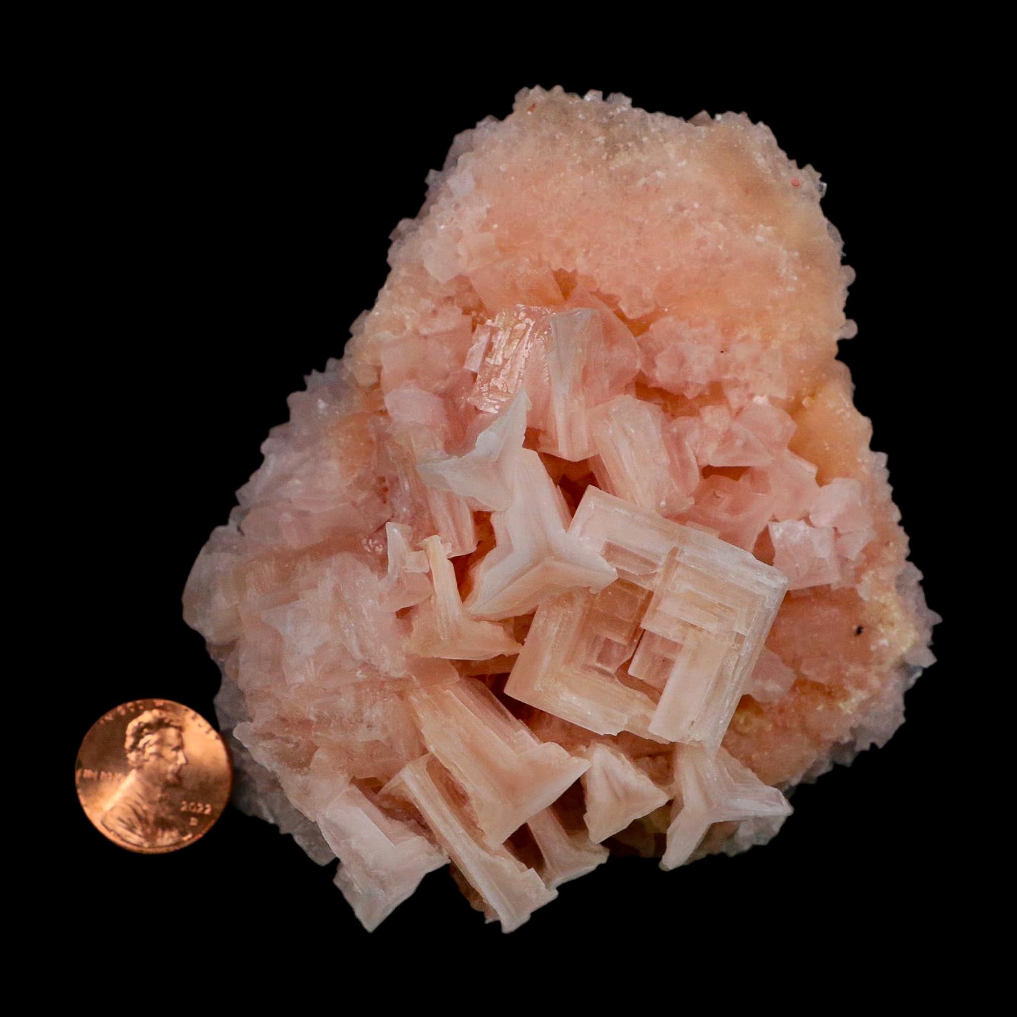 3.6" Quality Deep Pink Halite Salt Crystals Cluster Mineral Trona, CA Searles Lake