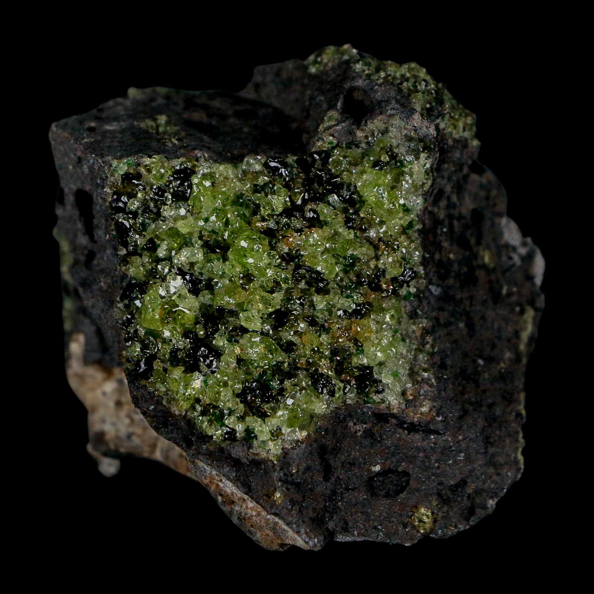 2.5" Emerald Peridot Crystals, Chrome Diopside And Spinel On Volcanic Rock Gila, AZ - Fossil Age Minerals