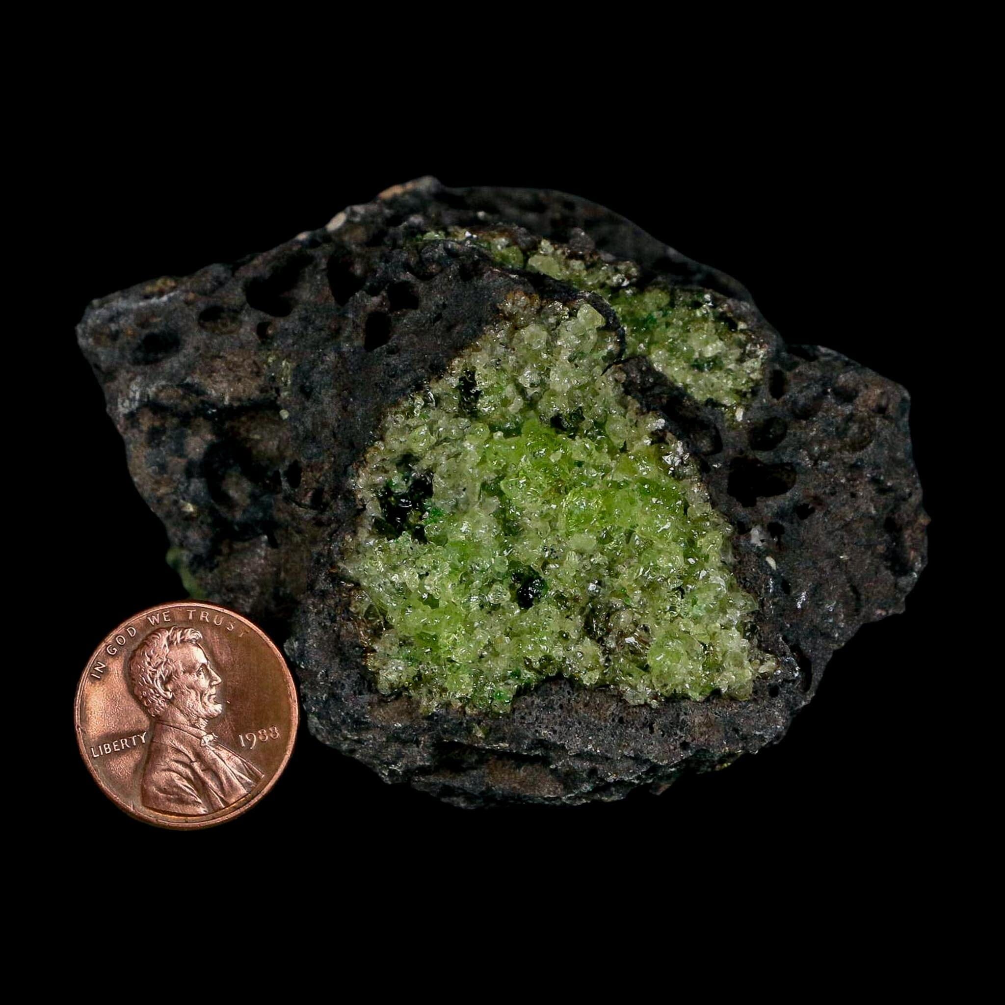 2.9" Emerald Peridot Crystals, Chrome Diopside And Spinel On Volcanic Rock Gila, AZ - Fossil Age Minerals
