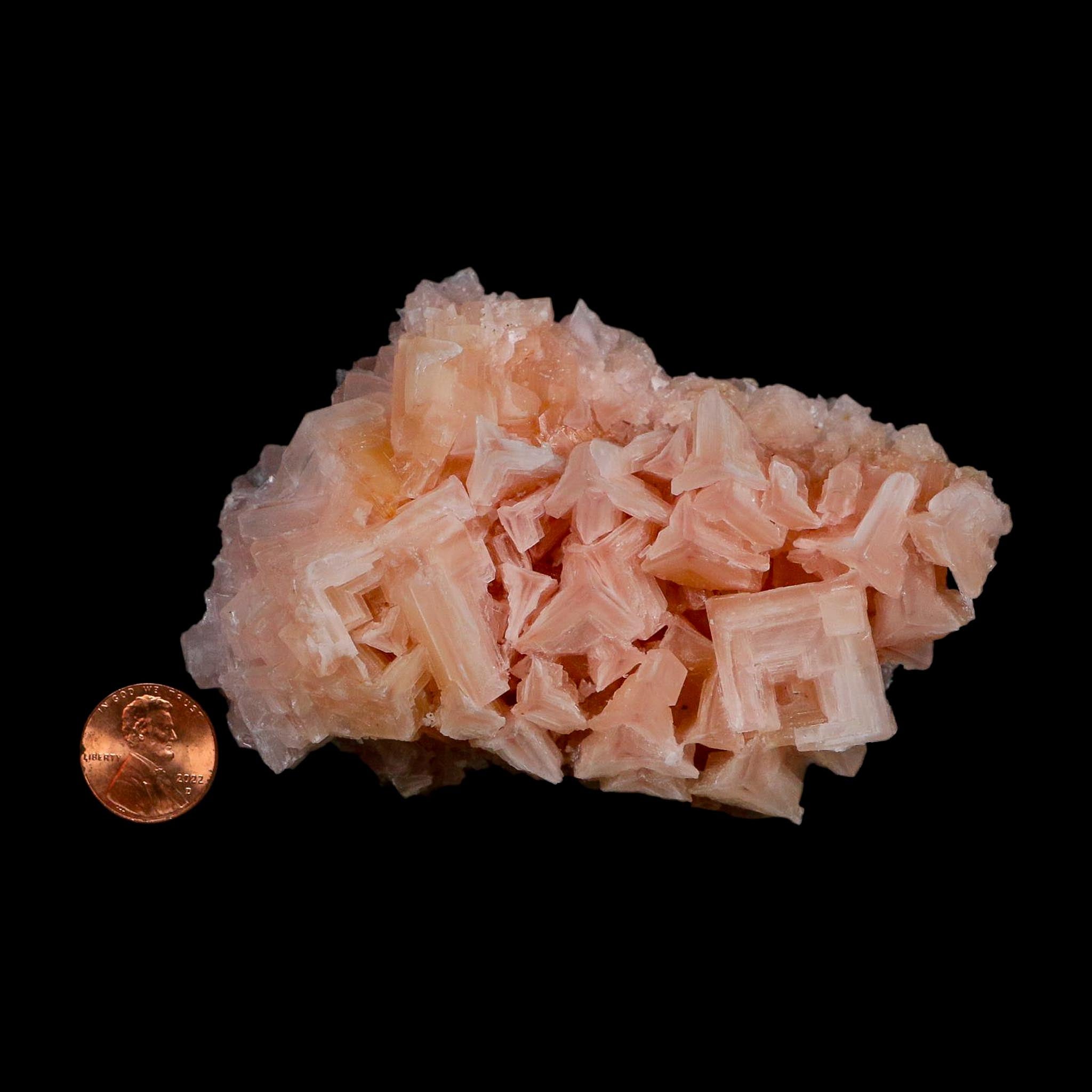 4.3" Quality Deep Pink Halite Salt Crystals Cluster Mineral Trona, CA Searles Lake