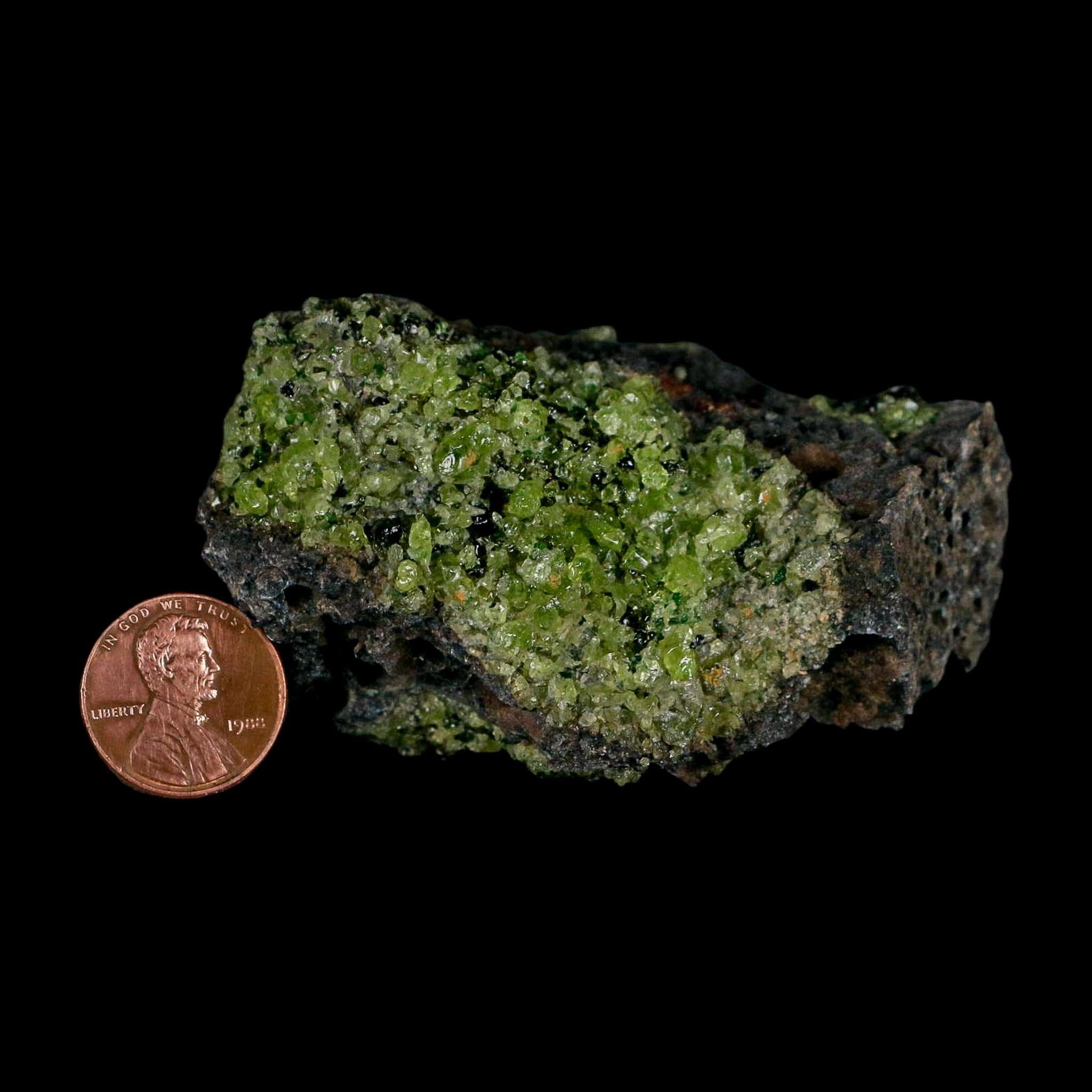 3" Emerald Peridot Crystals, Chrome Diopside And Spinel On Volcanic Rock Gila, AZ - Fossil Age Minerals