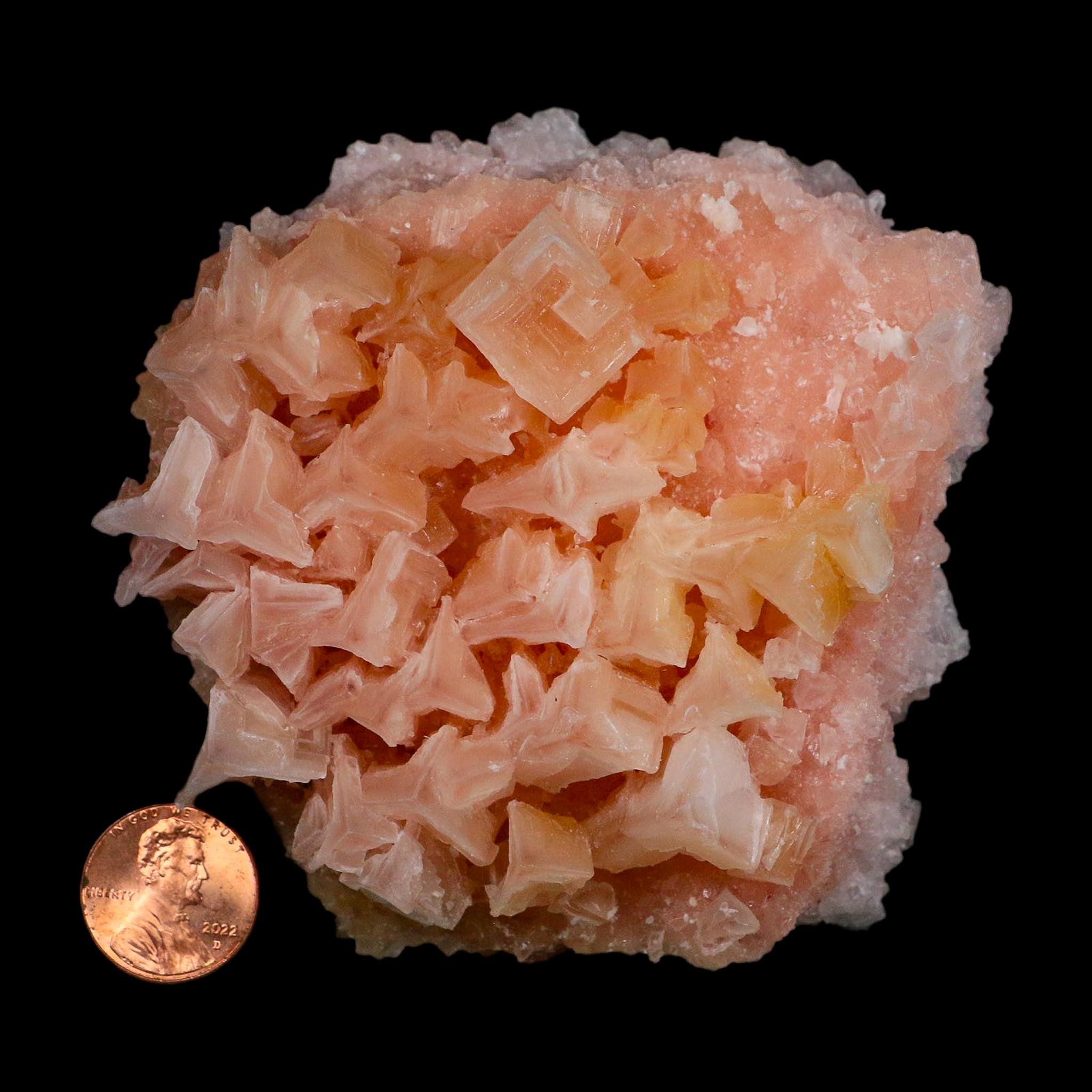 3.7" Quality Deep Pink Halite Salt Crystals Cluster Mineral Trona, CA Searles Lake