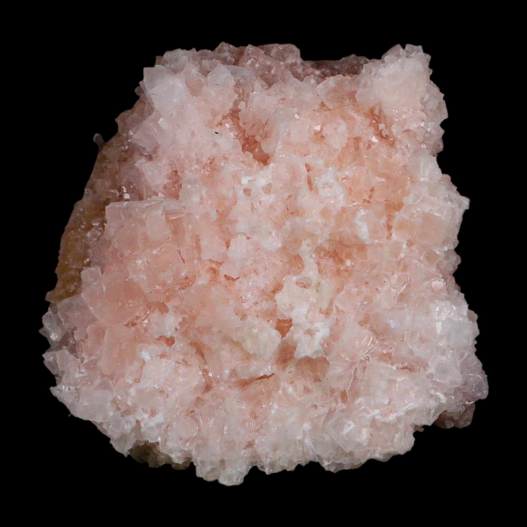 3.7" Quality Deep Pink Halite Salt Crystals Cluster Mineral Trona, CA Searles Lake