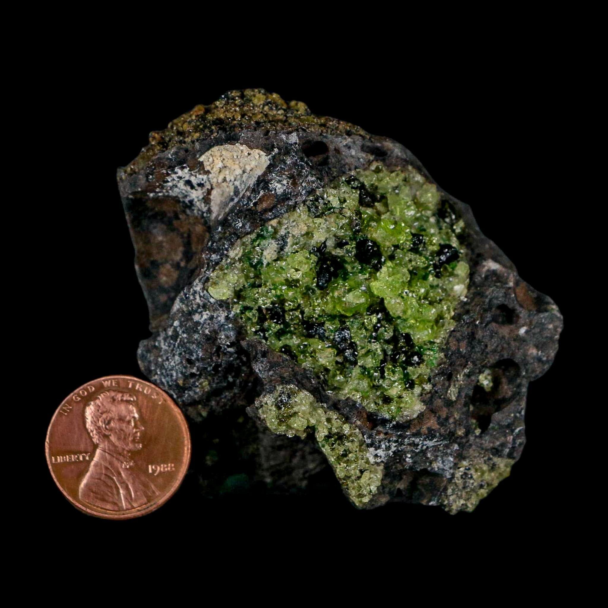 2.5" Emerald Peridot Crystals, Chrome Diopside And Spinel On Volcanic Rock Gila, AZ - Fossil Age Minerals