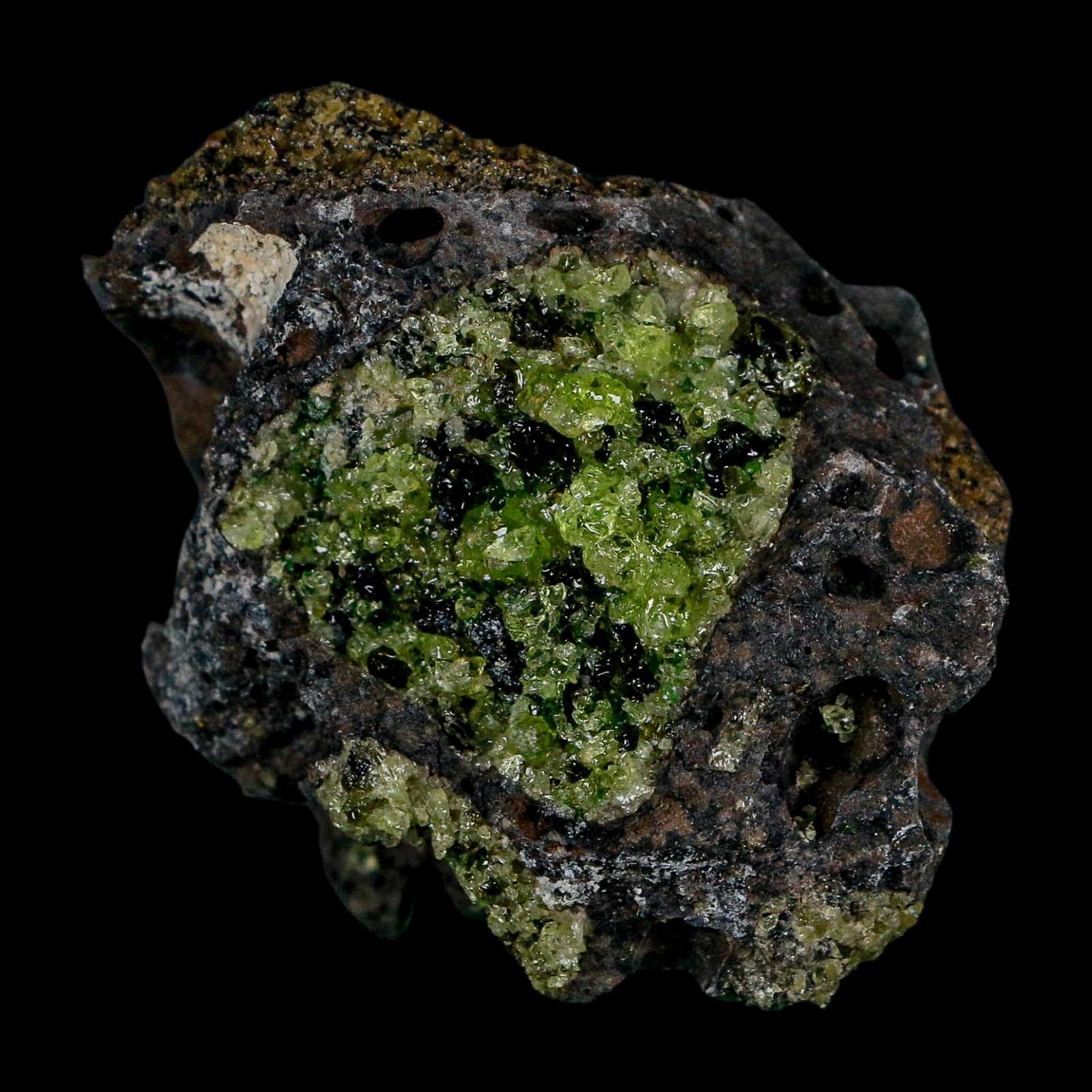2.5" Emerald Peridot Crystals, Chrome Diopside And Spinel On Volcanic Rock Gila, AZ - Fossil Age Minerals