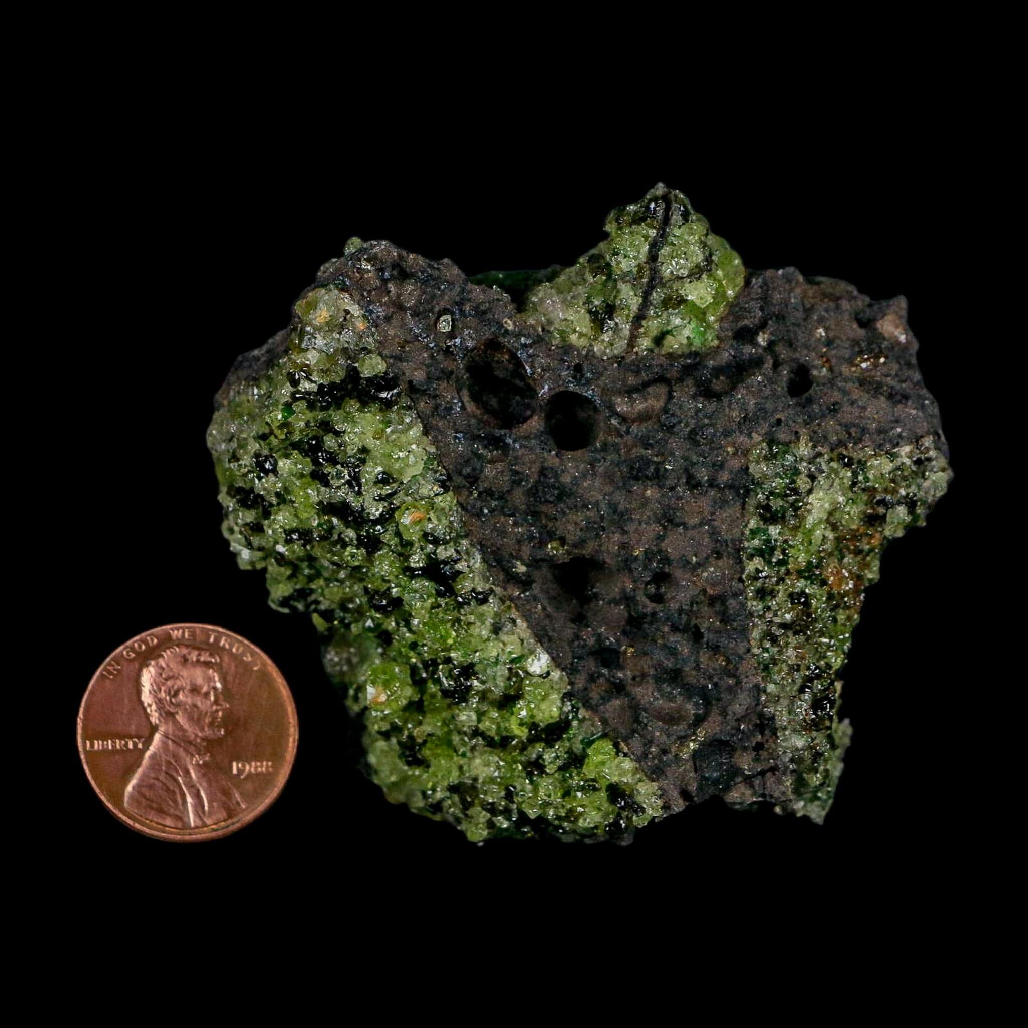 2.3" Emerald Peridot Crystals, Chrome Diopside And Spinel On Volcanic Rock Gila, AZ - Fossil Age Minerals