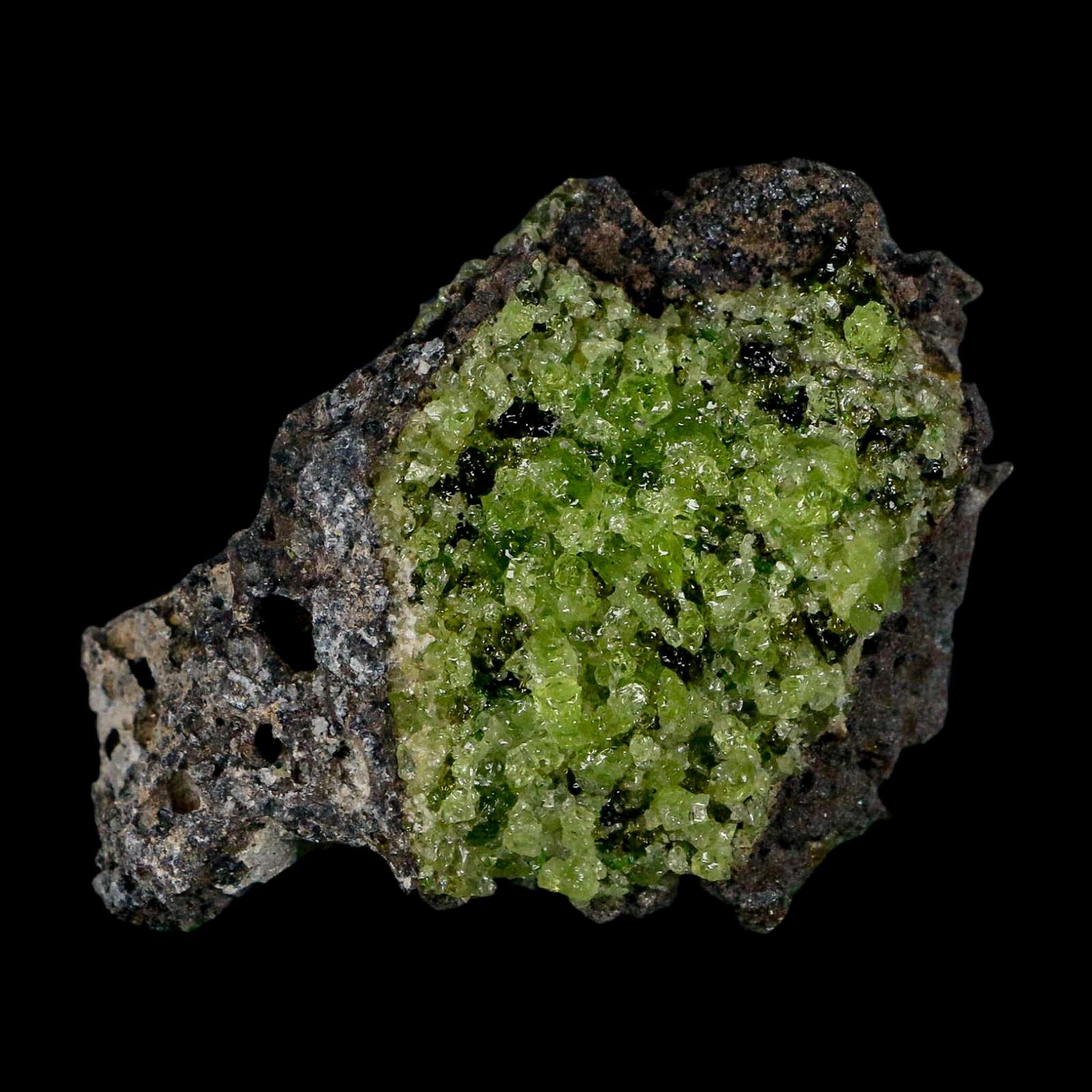 2.5" Emerald Peridot Crystals, Chrome Diopside And Spinel On Volcanic Rock Gila, AZ - Fossil Age Minerals