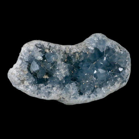 XL 8" Sky Blue Rough Celestite Crystal Druzy Cluster Geode 4 LB 7.8 OZ Celestine - Fossil Age Minerals