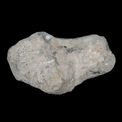 XL 8" Sky Blue Rough Celestite Crystal Druzy Cluster Geode 4 LB 7.8 OZ Celestine - Fossil Age Minerals