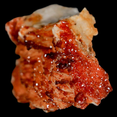 2" Sparkly Red Vanadinite Crystals On Orange Barite Blades Mineral Mabladen Morocco - Fossil Age Minerals