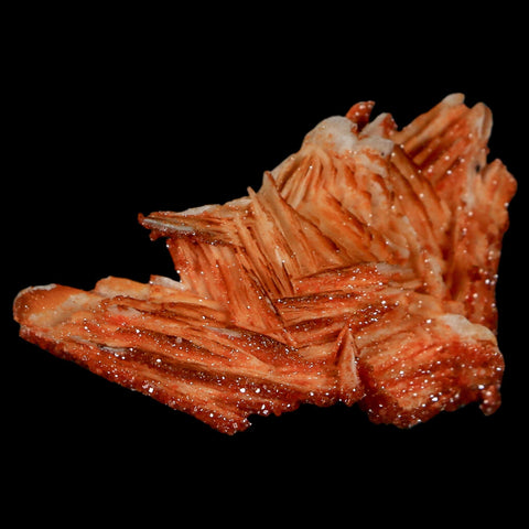1.7" Sparkly Red Vanadinite Crystals On Orange Barite Blades Mineral Mabladen Morocco - Fossil Age Minerals