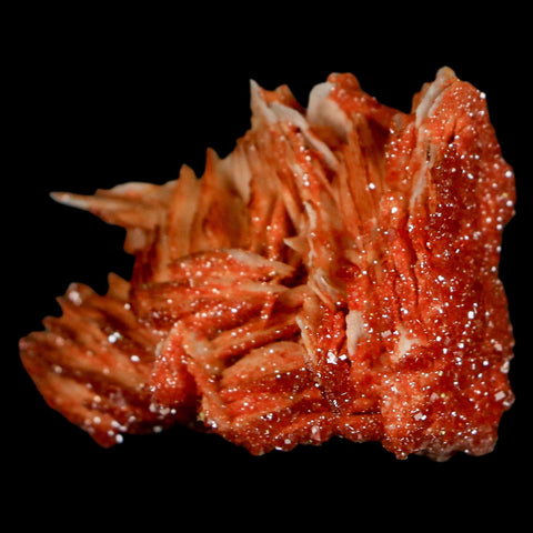1.7" Sparkly Red Vanadinite Crystals On Orange Barite Blades Mineral Mabladen Morocco - Fossil Age Minerals