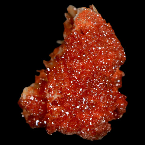 1.7" Sparkly Red Vanadinite Crystals On Orange Barite Blades Mineral Mabladen Morocco - Fossil Age Minerals