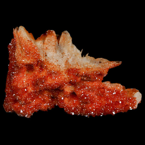 1.7" Sparkly Red Vanadinite Crystals On Orange Barite Blades Mineral Mabladen Morocco - Fossil Age Minerals
