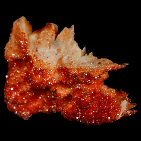 1.7" Sparkly Red Vanadinite Crystals On Orange Barite Blades Mineral Mabladen Morocco - Fossil Age Minerals
