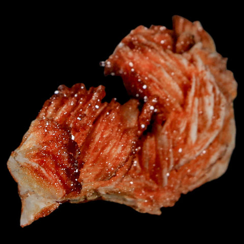 2.1" Sparkly Red Vanadinite Crystals On Orange Barite Blades Mineral Mabladen Morocco - Fossil Age Minerals