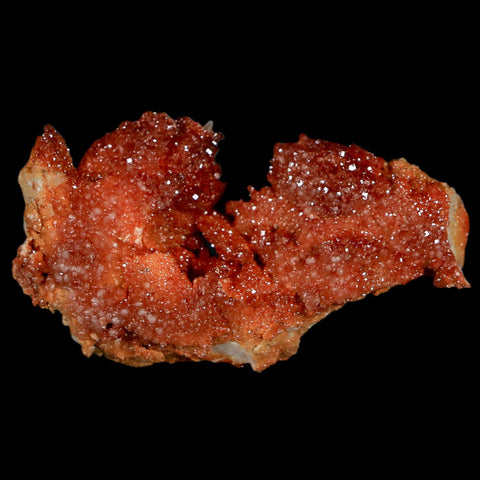 2.1" Sparkly Red Vanadinite Crystals On Orange Barite Blades Mineral Mabladen Morocco - Fossil Age Minerals