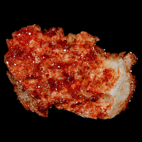 1.8" Sparkly Red Vanadinite Crystals On Orange Barite Blades Mineral Mabladen Morocco - Fossil Age Minerals