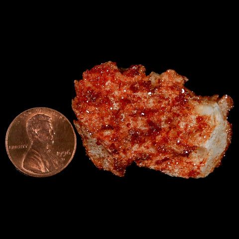1.8" Sparkly Red Vanadinite Crystals On Orange Barite Blades Mineral Mabladen Morocco - Fossil Age Minerals