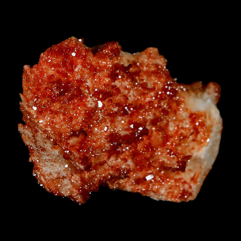 1.8" Sparkly Red Vanadinite Crystals On Orange Barite Blades Mineral Mabladen Morocco - Fossil Age Minerals