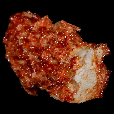 1.8" Sparkly Red Vanadinite Crystals On Orange Barite Blades Mineral Mabladen Morocco - Fossil Age Minerals