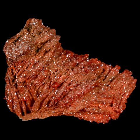 1.9" Sparkly Red Vanadinite Crystals On Orange Barite Blades Mineral Mabladen Morocco - Fossil Age Minerals