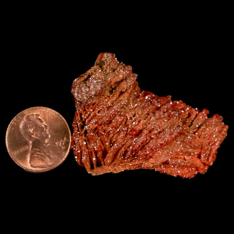 1.9" Sparkly Red Vanadinite Crystals On Orange Barite Blades Mineral Mabladen Morocco - Fossil Age Minerals