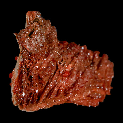 1.9" Sparkly Red Vanadinite Crystals On Orange Barite Blades Mineral Mabladen Morocco - Fossil Age Minerals