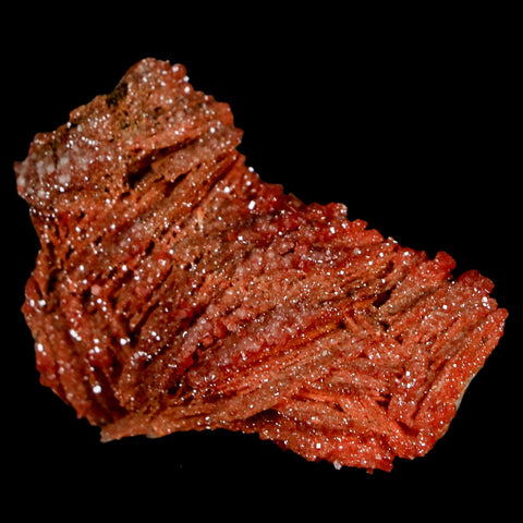 1.9" Sparkly Red Vanadinite Crystals On Orange Barite Blades Mineral Mabladen Morocco - Fossil Age Minerals
