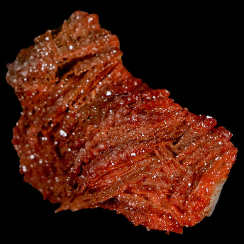 1.9" Sparkly Red Vanadinite Crystals On Orange Barite Blades Mineral Mabladen Morocco - Fossil Age Minerals