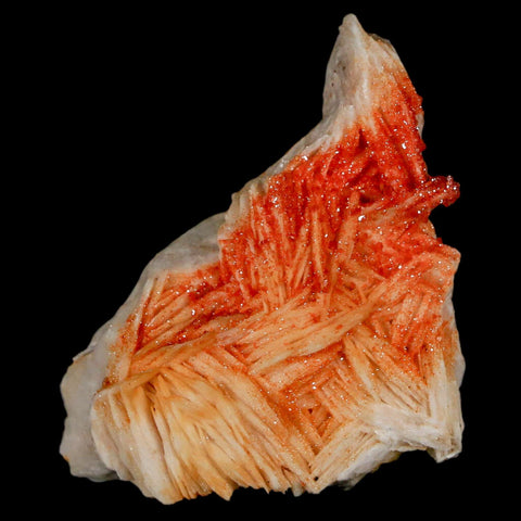 2.1" Sparkly Red Vanadinite Crystals On White Barite Blades Mineral Mabladen Morocco - Fossil Age Minerals