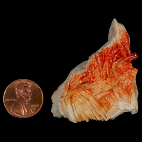 2.1" Sparkly Red Vanadinite Crystals On White Barite Blades Mineral Mabladen Morocco - Fossil Age Minerals