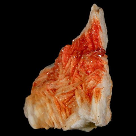 2.1" Sparkly Red Vanadinite Crystals On White Barite Blades Mineral Mabladen Morocco - Fossil Age Minerals