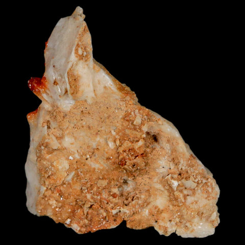 2.1" Sparkly Red Vanadinite Crystals On White Barite Blades Mineral Mabladen Morocco - Fossil Age Minerals