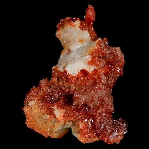 1.9" Sparkly Red Vanadinite Crystals On White Barite Blades Mineral Mabladen Morocco - Fossil Age Minerals
