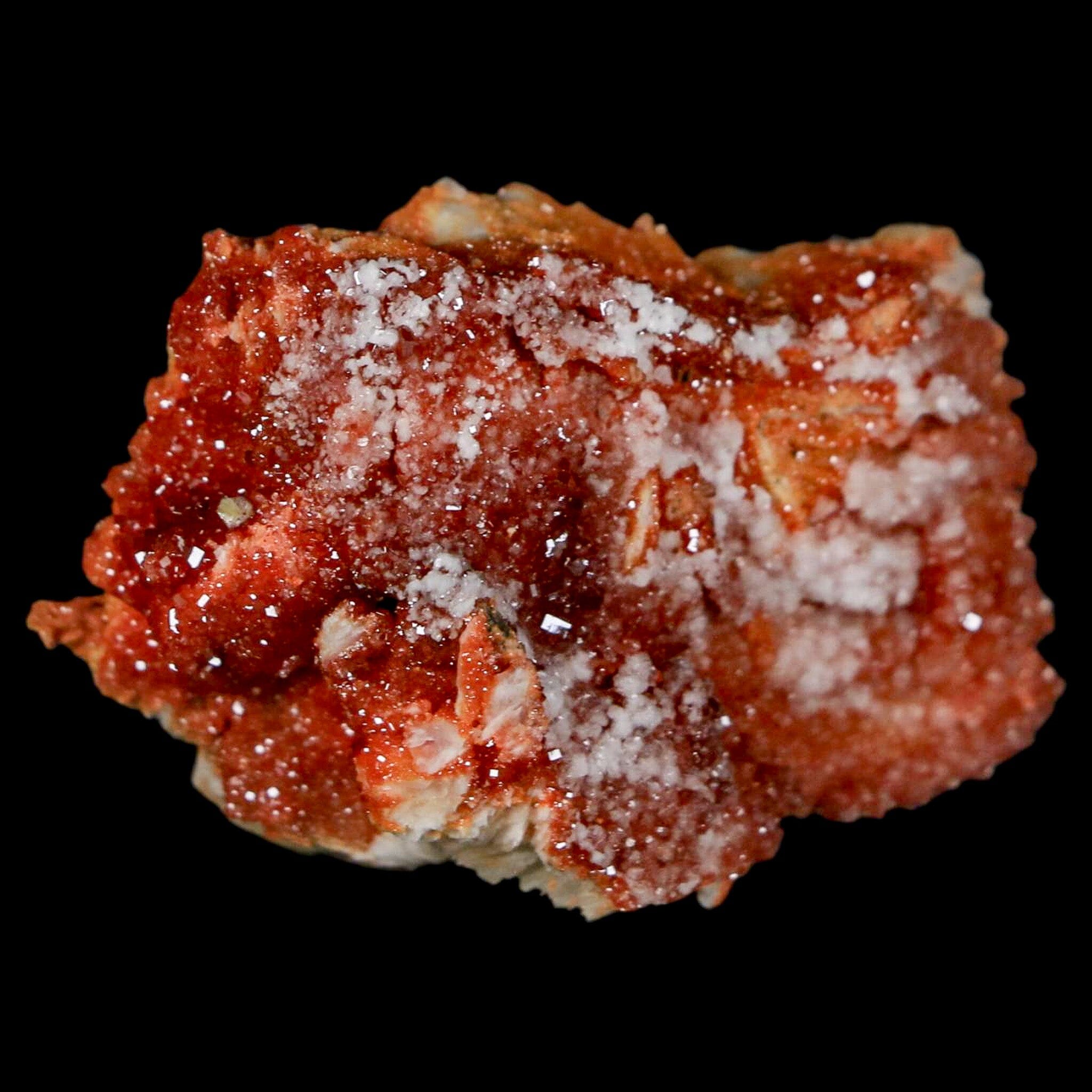 1.8" Sparkly Red Vanadinite Crystals On Orange Barite Blades Mineral Mabladen Morocco - Fossil Age Minerals