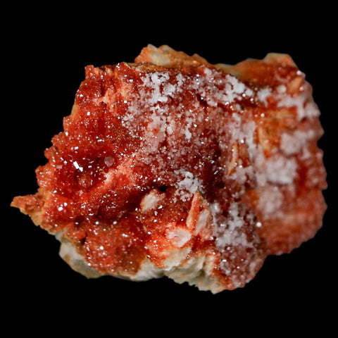 1.8" Sparkly Red Vanadinite Crystals On Orange Barite Blades Mineral Mabladen Morocco - Fossil Age Minerals